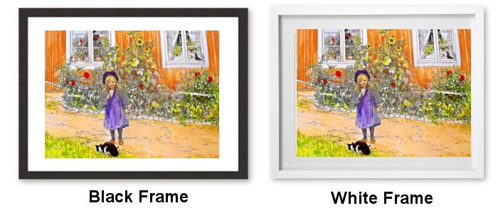 Frame Choice